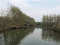 -溱湖国家湿地公园