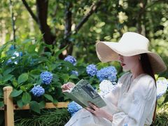 -达蓬山旅游度假区