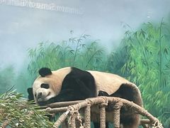 -杭州动物园