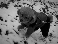 -宝山路(地铁站)