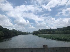 -山外山·林语花园餐厅