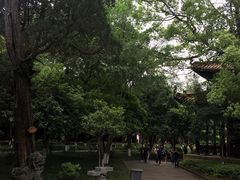 -南岳衡山风景名胜区