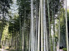 -黄公望隐居地