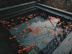 -厦门日月谷温泉渡假村