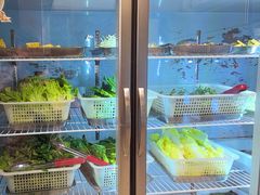 -金鼎雪山牦牛杂火锅(理县总店)