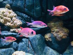 -成都浩海立方海洋公园