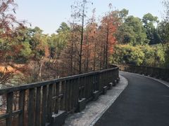 -东部华侨城