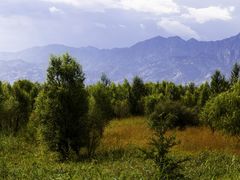 -野鸭湖国家湿地公园