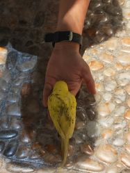 -酷嗒动物文化乐园(cutezoo西溪乐天城店)