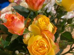 -闫府私房菜·老字号(恒隆店)