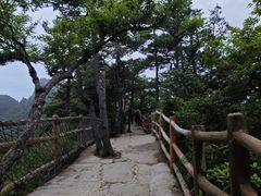 -洛阳白云山景区