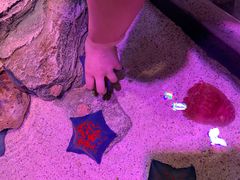 -沈阳海洋探索中心