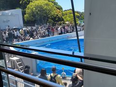 -西海国立公园九十九岛水族馆