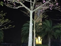 -亚龙湾中心广场
