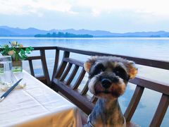 -柳莺湖上·湖景餐厅·江南菜(西湖店)