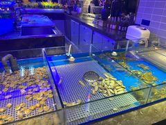 -深海壹品海鲜自助餐厅(吾悦广场店)