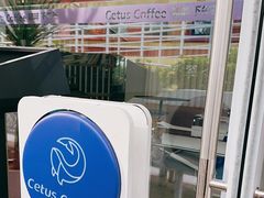 -Cetus coffee鲸鱼座咖啡·拼豆(二仙桥公园店)