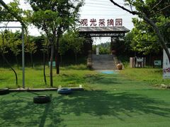 -淄博花灯齐彩城
