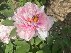 -江南大学(蠡湖校区)