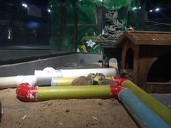 -荆州中山公园动物园