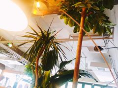 -the rug 飞毯 (朝阳公园店)