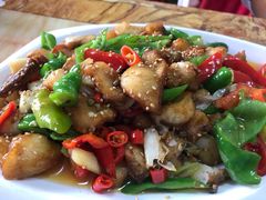 -煲来饱去冷水鱼