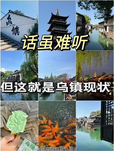 话虽难听 但这就是乌镇现状…