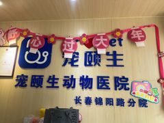 -宠颐生动物医院·心脏科·保险定点(锦阳分院)