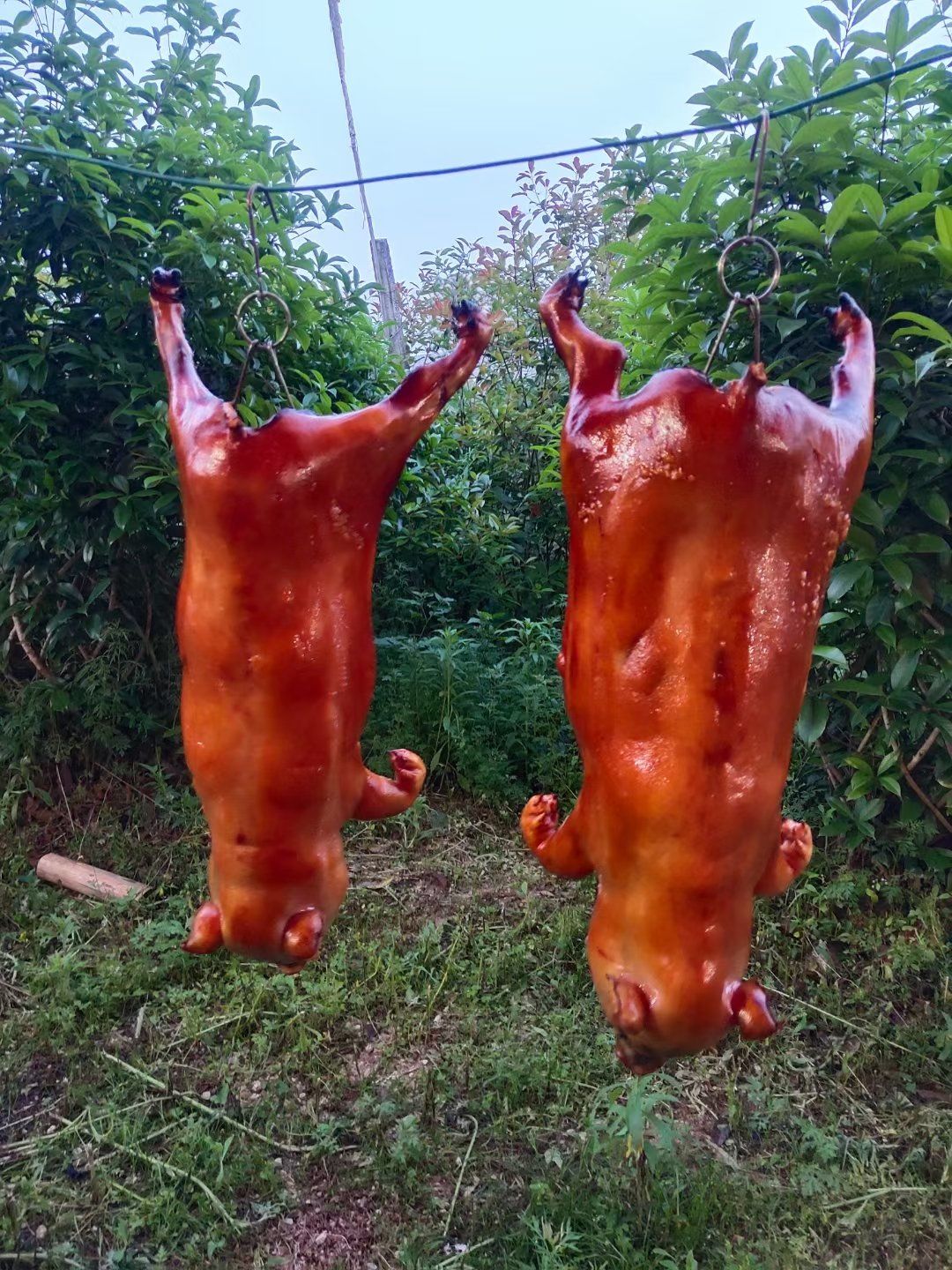 n
首先,看这烤乳猪,外皮金黄酥脆,仿