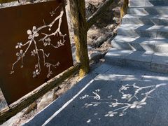 -白水寺森林公园