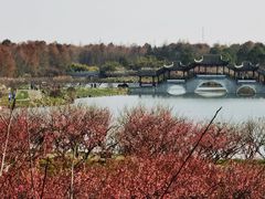 -上海海湾国家森林公园