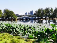 -长春市南湖公园