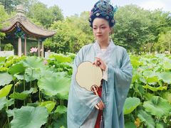 -莲湖公园