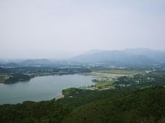 -大鹅岛灶台鱼·铁锅炖(水库路店)