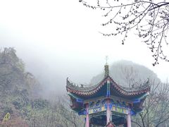 -西安祥峪森林公园