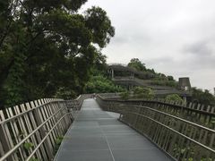 -福道