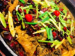 老板恋上鱼-老板恋上鱼(恒隆广场店)