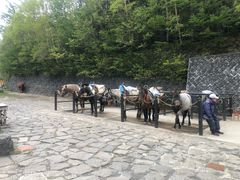 -富士山吉田線五合目