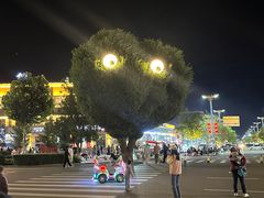 -特克斯八卦城