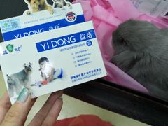 -北京观赏动物医院·24小时大型综合·猫专科·异宠专科