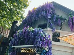 -弗兰克牛排西餐厅Ribone steak house(柠檬花园店)