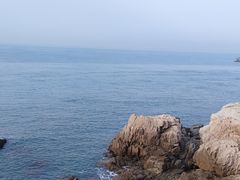 -小麦岛公园