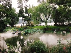 -杭州西湖柳莺里酒店