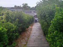 -绿华园休闲山庄