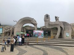-青岛森林野生动物世界
