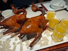 -大鸽饭(动物园店)