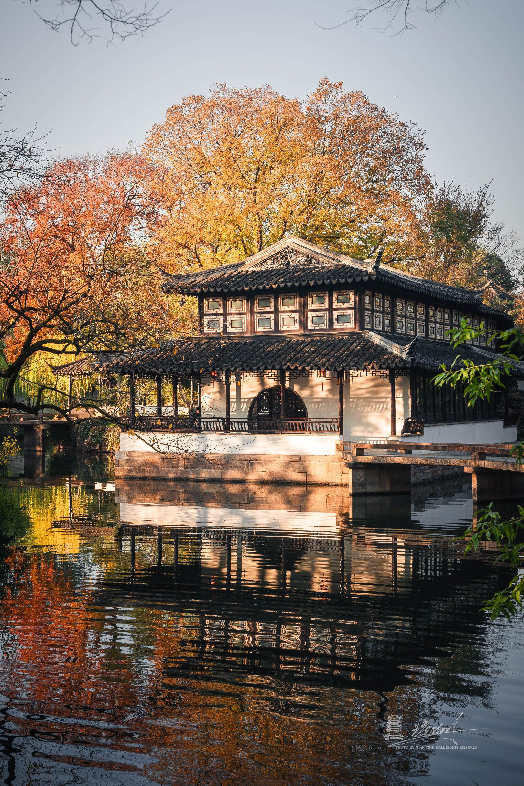 清晨七点半的拙政园,人少景美很出片!