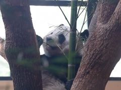 -宁波野生动物园