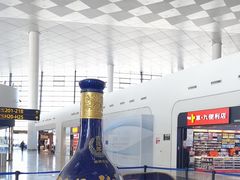 -河南特产汇(郑州新郑国际机场店)