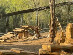 -北京野生动物园